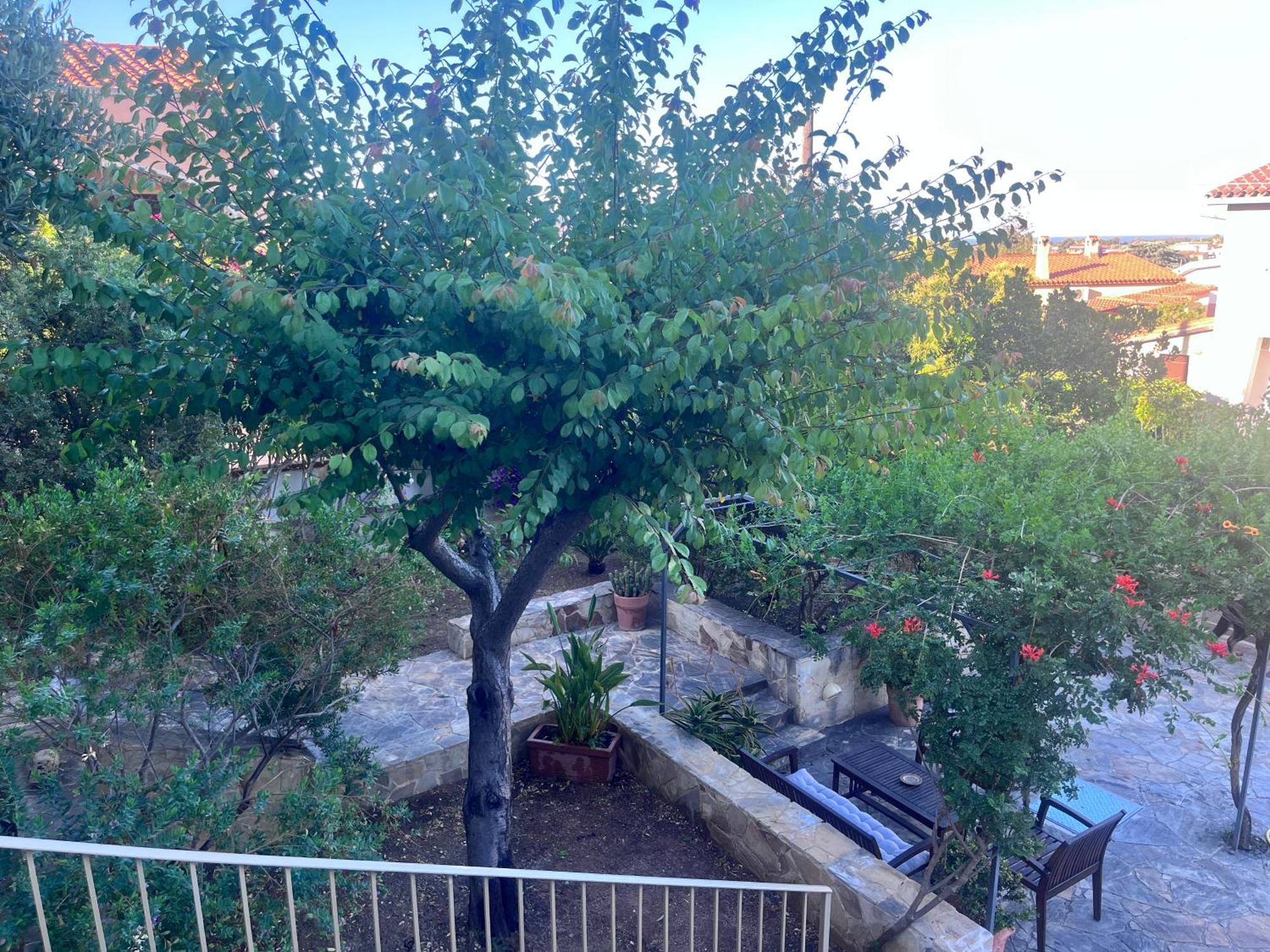 Villa Fatta Di Sogni พูลา ภายนอก รูปภาพ